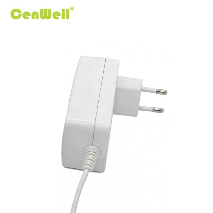 24V1.75A 42W AC-DC EU Plug Power Supply Adapter best